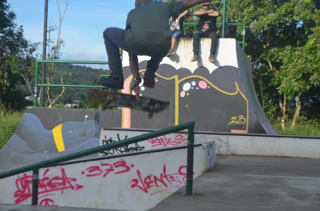 skateparks de Florencia 2
